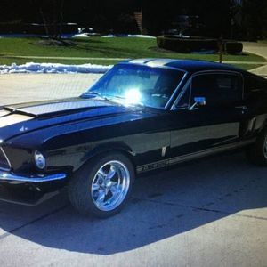 Meet your Posher, Ralph